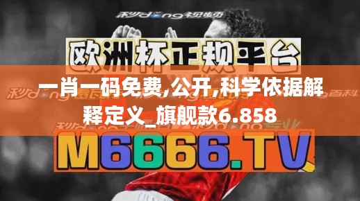 一肖一码免费,公开,科学依据解释定义_旗舰款6.858