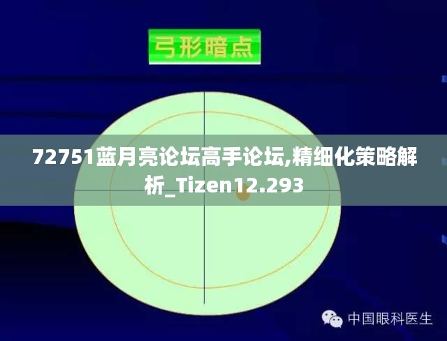 72751蓝月亮论坛高手论坛,精细化策略解析_Tizen12.293