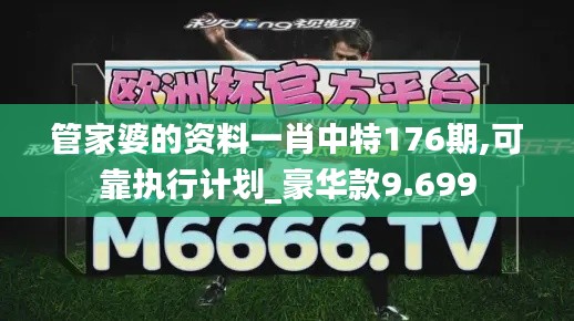 管家婆的资料一肖中特176期,可靠执行计划_豪华款9.699