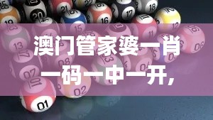 澳门管家婆一肖一码一中一开,实地评估策略数据_HT8.792