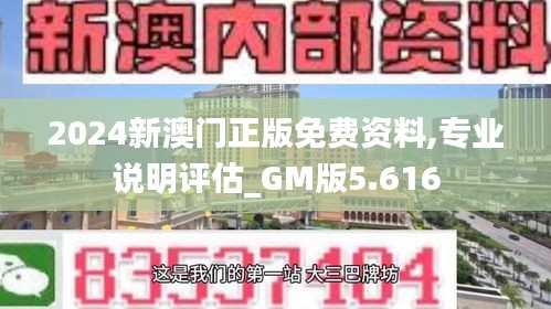 2024新澳门正版免费资料,专业说明评估_GM版5.616