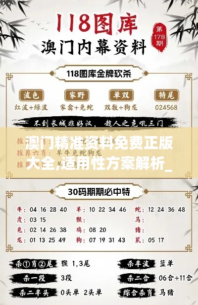 澳门精准资料免费正版大全,适用性方案解析_9DM9.284