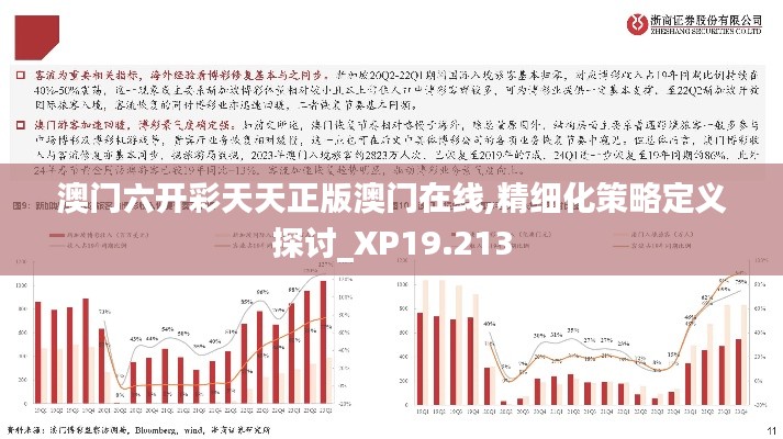 澳门六开彩天天正版澳门在线,精细化策略定义探讨_XP19.213