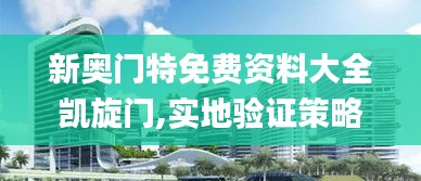 新奥门特免费资料大全凯旋门,实地验证策略数据_精英版7.143