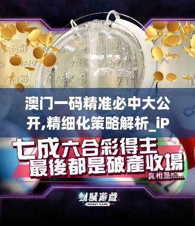 澳门一码精准必中大公开,精细化策略解析_iPhone6.658