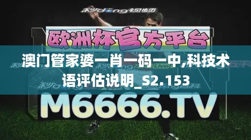 澳门管家婆一肖一码一中,科技术语评估说明_S2.153