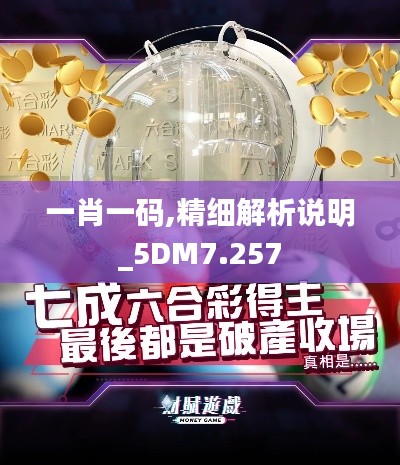 一肖一码,精细解析说明_5DM7.257