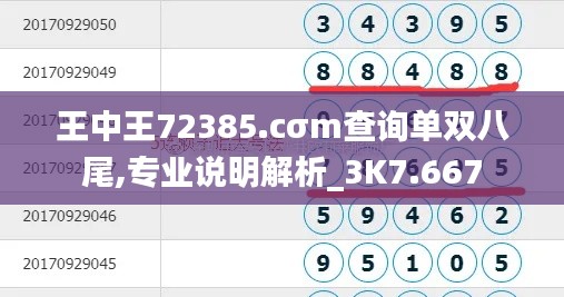 王中王72385.cσm查询单双八尾,专业说明解析_3K7.667