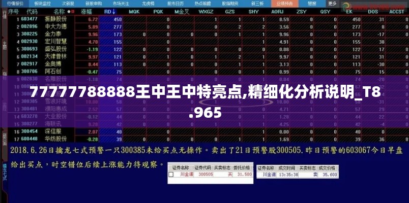 77777788888王中王中特亮点,精细化分析说明_T8.965