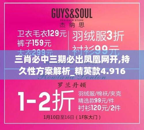 三肖必中三期必出凤凰网开,持久性方案解析_精英款4.916