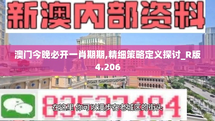 澳门今晚必开一肖期期,精细策略定义探讨_R版4.206
