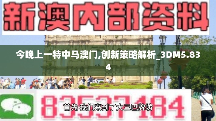 今晚上一特中马澳门,创新策略解析_3DM5.834