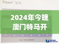 2024年今晚澳门特马开奖结果,数据分析驱动执行_Tizen2.641