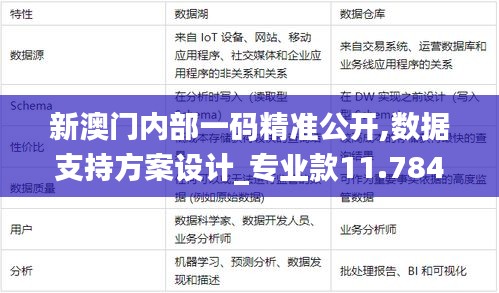 新澳门内部一码精准公开,数据支持方案设计_专业款11.784