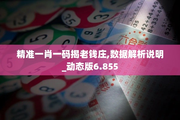 精准一肖一码揭老钱庄,数据解析说明_动态版6.855
