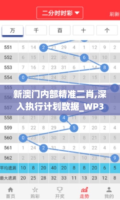 新澳门内部精准二肖,深入执行计划数据_WP3.507