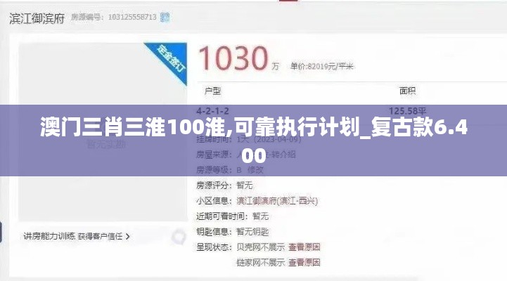 澳门三肖三淮100淮,可靠执行计划_复古款6.400