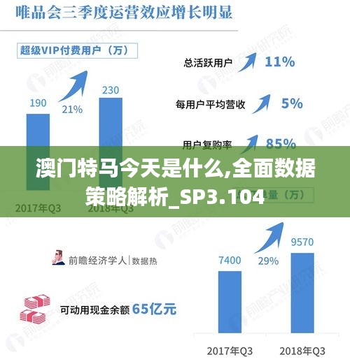澳门特马今天是什么,全面数据策略解析_SP3.104