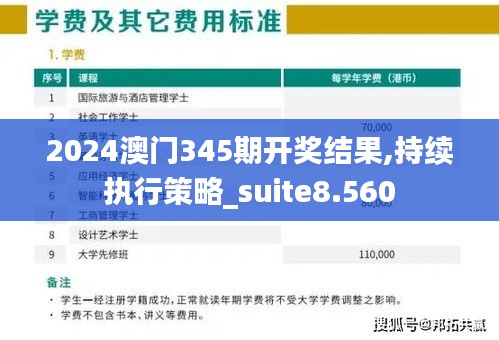 2024澳门345期开奖结果,持续执行策略_suite8.560