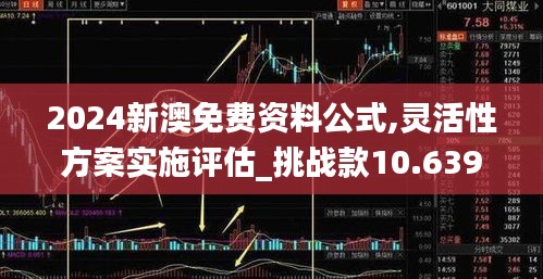 2024新澳免费资料公式,灵活性方案实施评估_挑战款10.639