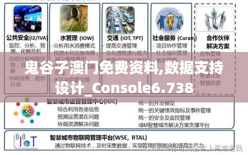 鬼谷子澳门免费资料,数据支持设计_Console6.738
