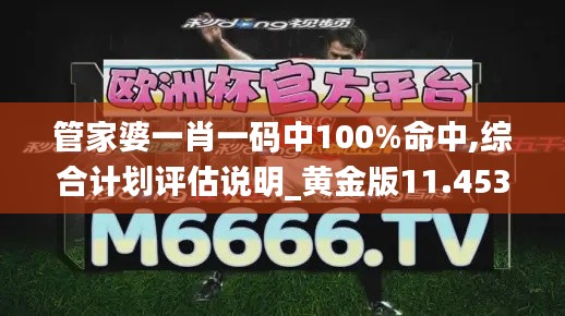 管家婆一肖一码中100%命中,综合计划评估说明_黄金版11.453