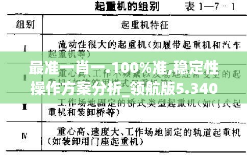 最准一肖一.100%准,稳定性操作方案分析_领航版5.340
