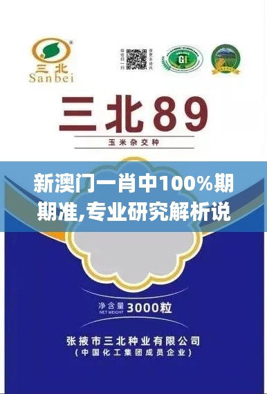 敷衍了事 第4页