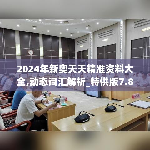 2024年新奥天天精准资料大全,动态词汇解析_特供版7.833
