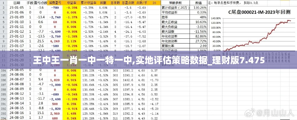 王中王一肖一中一特一中,实地评估策略数据_理财版7.475