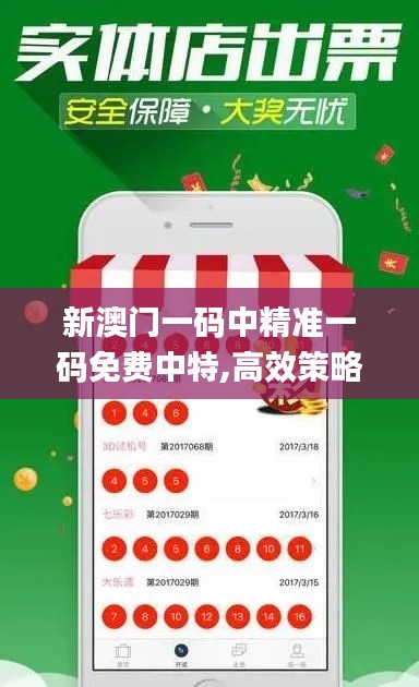 新澳门一码中精准一码免费中特,高效策略设计_Hybrid3.438