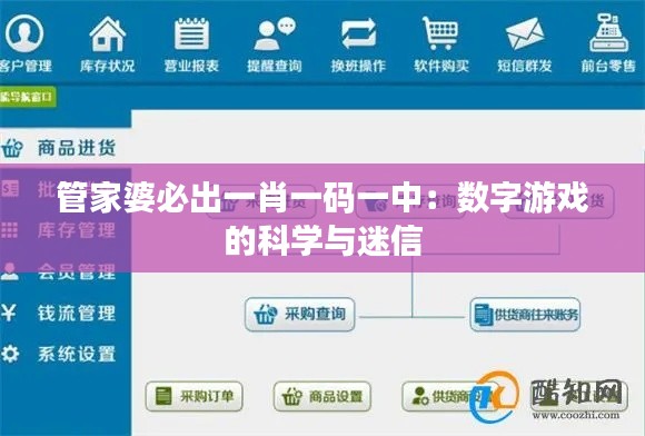 管家婆必出一肖一码一中：数字游戏的科学与迷信