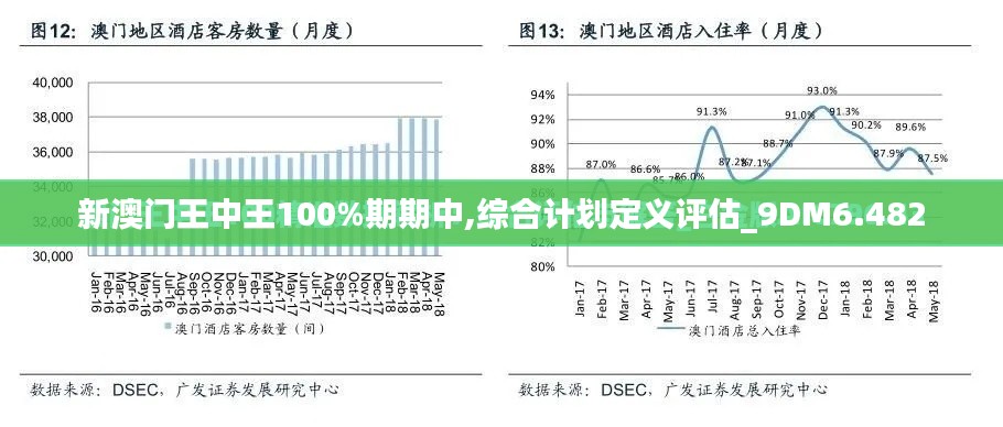 新澳门王中王100%期期中,综合计划定义评估_9DM6.482