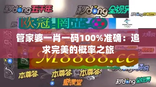 管家婆一肖一码100%准确：追求完美的概率之旅