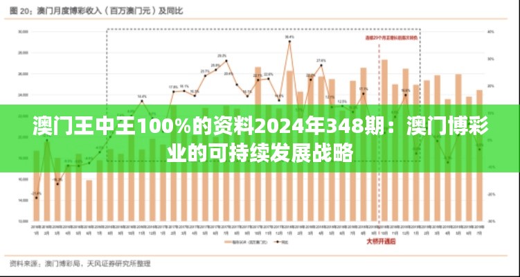 澳门王中王100%的资料2024年348期：澳门博彩业的可持续发展战略