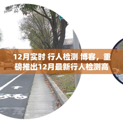 智能实时行人检测博客，揭秘最新高科技产品重塑城市安全与生活体验