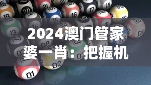 2024澳门管家婆一肖：把握机遇，智胜四方