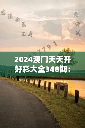2024澳门天天开好彩大全348期：揭开神秘面纱，探索彩民新体验