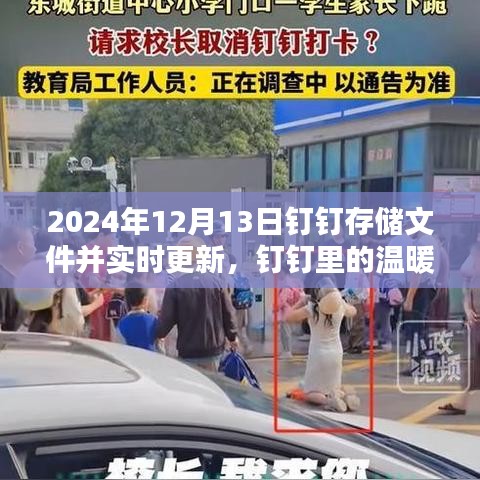 钉钉存储文件更新日，传递温暖时光与友情 2024年12月13日纪实