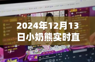 小奶熊直播盛典回顾，2024年12月13日网络热潮与影响