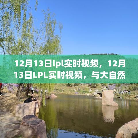 12月13日LPL实时视频，与大自然共舞，探寻内心宁静之旅
