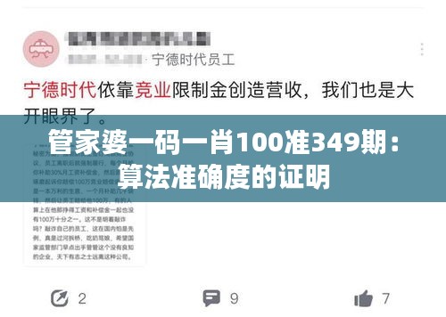 管家婆一码一肖100准349期：算法准确度的证明