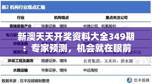 新澳天天开奖资料大全349期：专家预测，机会就在眼前
