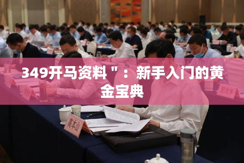 349开马资料＂：新手入门的黄金宝典