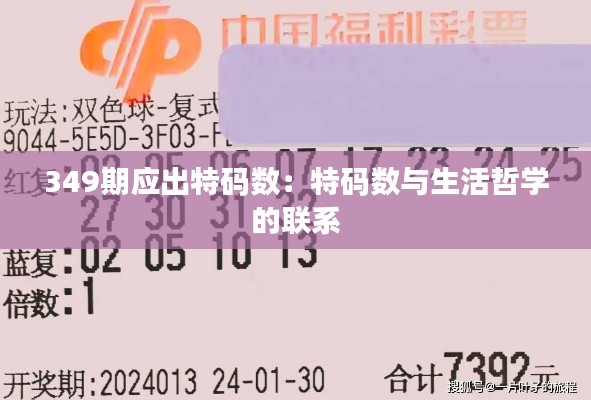 349期应出特码数：特码数与生活哲学的联系