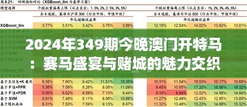 2024年349期今晚澳门开特马：赛马盛宴与赌城的魅力交织