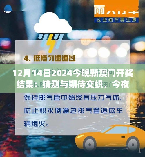 12月14日2024今晚新澳门开奖结果：猜测与期待交织，今夜谁能梦想成真？