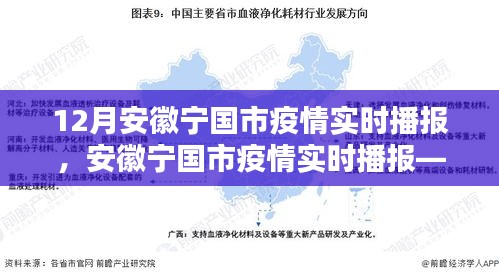 安徽宁国市疫情深度解析，十二月实时播报与疫情状况关注