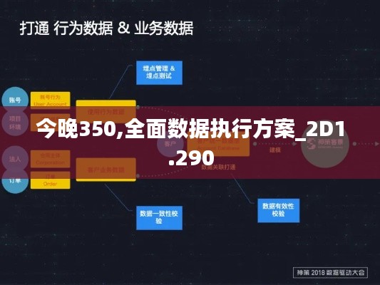 今晚350,全面数据执行方案_2D1.290