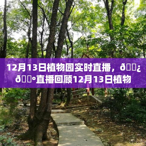 12月13日植物园实时直播回顾，领略自然之美的精彩瞬间